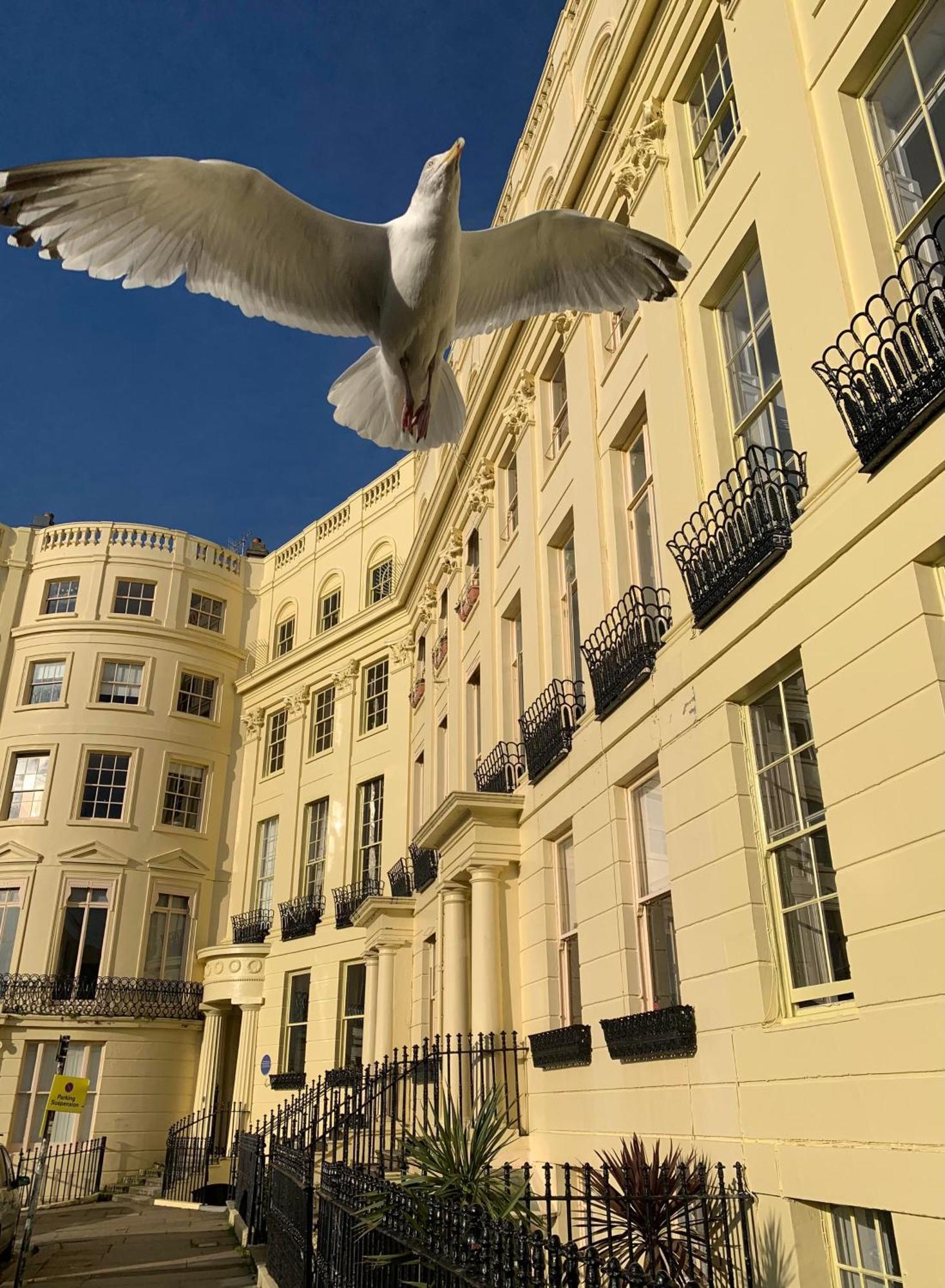 Lansdowne House Отель типа 